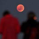 CW-1689-01 이미지