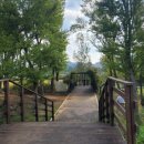 중국단풍길 이미지