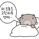 순천종로약국 이미지