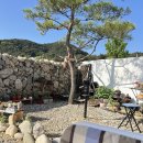 스테이돌담 이미지