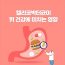 [가톨릭대학서울성모병원] 헬리코박터균이 위 건강에 미치는 영향 이미지