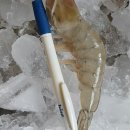 여수기호수산 네이버블로그