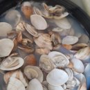 뚝딱이네 STAY 이미지