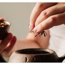 사계절한의원 이미지