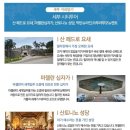 해피투어여행사 이미지