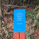 올레길안내소 | 제주 북동부 바다를 따라서 세화해수욕장까지 제주도 올레길 20코스 후기 - 2