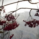 제눈에안경 이미지