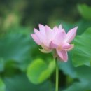 도담펜션 - 여수시 상관길 40-1 | 도담펜션