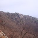 ★경남 양산 토곡산(855m)낙동강 장쾌한조망 매화꽃향연,3월17일,화, 이미지
