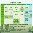 영어 놀이(8~9세) 이미지