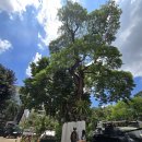 시티택시 | 베트남 호치민 자유여행 공항 픽업 시내 시티투어 호텔드랍 택시 후기