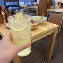 컴앤컴 | 서울숲 맛집 요쇼쿠 본점 가성비 굿 양식에서 일식까지 취향 저격 메뉴 잔치