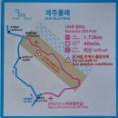 등대길26민박 | 추자올레 18-1코스: 나바론절벽, 추자등대, 돈대산정상을 따라 걷는 또 다른 올레길을 경험하다.