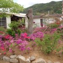 산새울 이미지