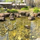 덕천래미안어린이집 이미지