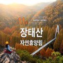 제82차 정기산행을 예약 합니다,.(대전 서구 장태산 자영 휴양림) 트레킹산행 2023년11월19일 셋째 이미지