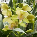 동양스프링 이미지