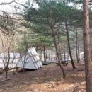 하늘그린 이미지