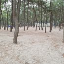 춘장대오토캠핑장