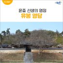유계영당 | 윤증 선생의 영정을 모시고 제사를 지내는 유봉 영당