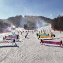 (주)HJ매그놀리아용평호텔앤리조트