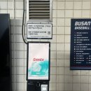 총각김밥바람났네 | 롯데자이언츠 VS SSG 랜더스 260405 경기 직관 후기 (피스윕 두 번/중앙상단 51블럭 시야 배포 바람막이...