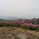 한치재주차장 이미지