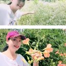 바다를 꿈꾸는 계곡물 ㅡ소향 조남현 이미지
