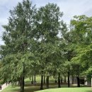 호암미술관 이미지