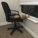 석계초등학교 이미지