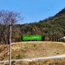 송백로-1 이미지