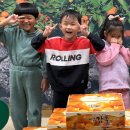 유진유치원 | 제주 금오름 아이랑 후기 (오름 산책, 풍경, 뷰 좋은 곳)