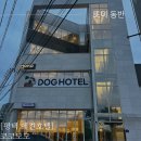 코코모모 | 평택 애견호텔 코코모모 다녀온 후기 (콧털형님과 인증샷도 찍었어요)