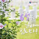 지선 | 제9회 지선 투표 후기