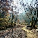 망경대산자연휴양림 이미지