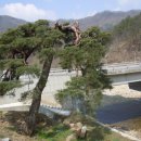 천천면광산마을 이미지
