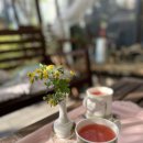 다반트 이미지