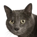 블루동물종합병원 이미지