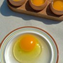 주식회사 자연과우리 이미지