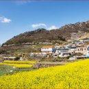 남면로-2 이미지