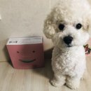 미소사료 이미지