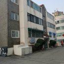 돼지상사 이미지