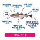 삐삐's건어물 이미지