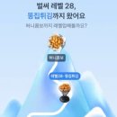 명 | 토스 허니콤보 이벤트 레벨 몇단계 몇명 교촌치킨 후기 총정리