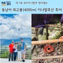 큰원성목장 | 코타키나발루 가볼만한 곳 4095m 키나발루산 데이투어,DESA 목장, 라플레시아 정원
