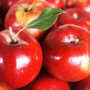 라온힐요양병원 이미지