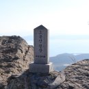 보성글로벌