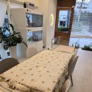 강남고양이분양 호야캣 이미지