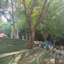 만덕도서관 이미지