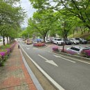 예당관광지 휴게소 이미지